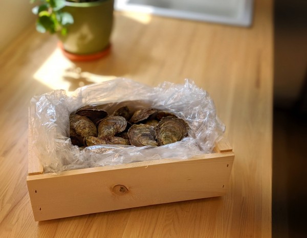 Les huîtres sont placées dans un sac de plastique, puis dans une boîte en bois.